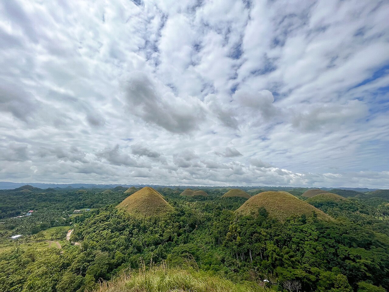 Chocolate Hills
