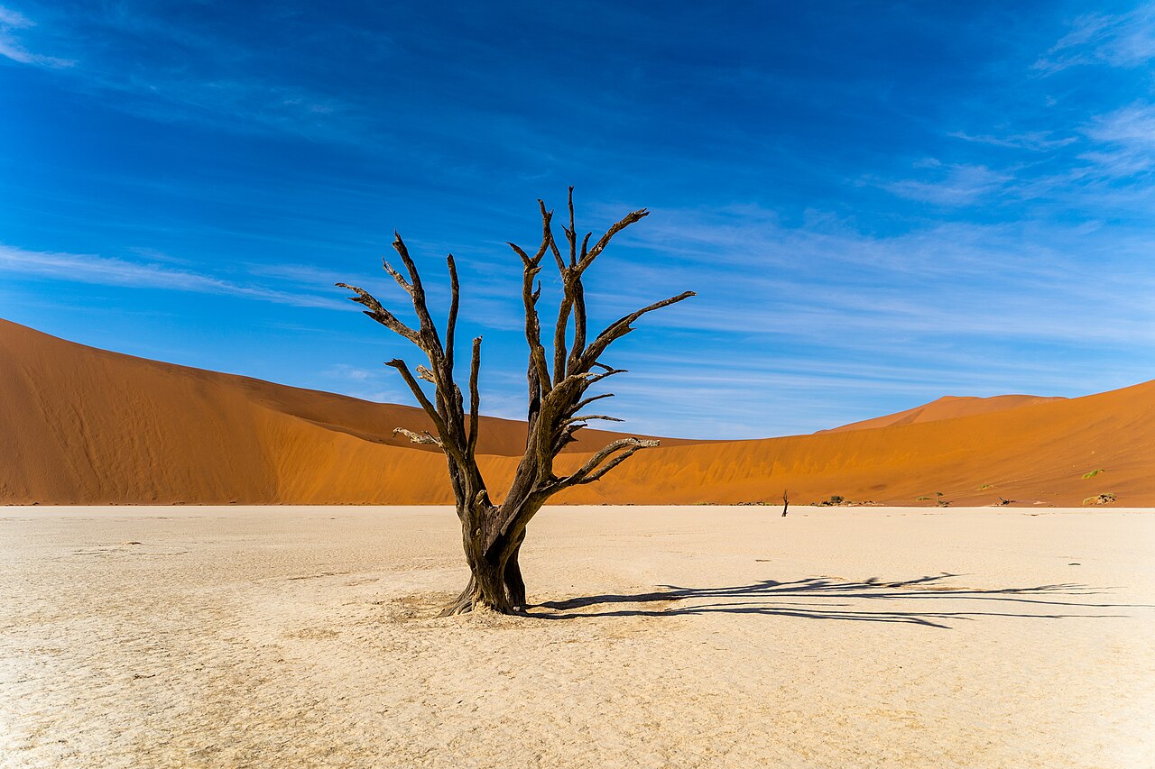 Deadvlei