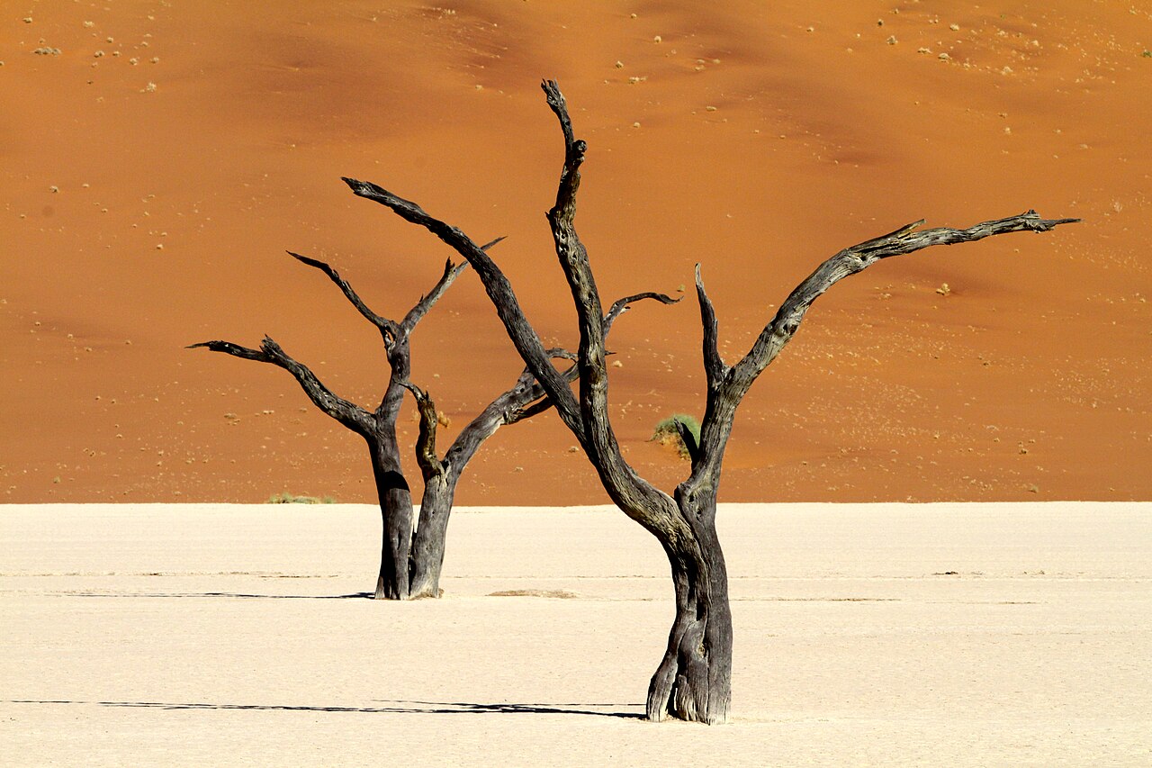 Sossusvlei