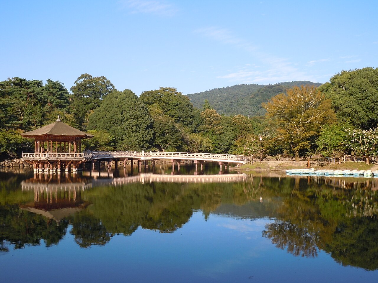 奈良公園
